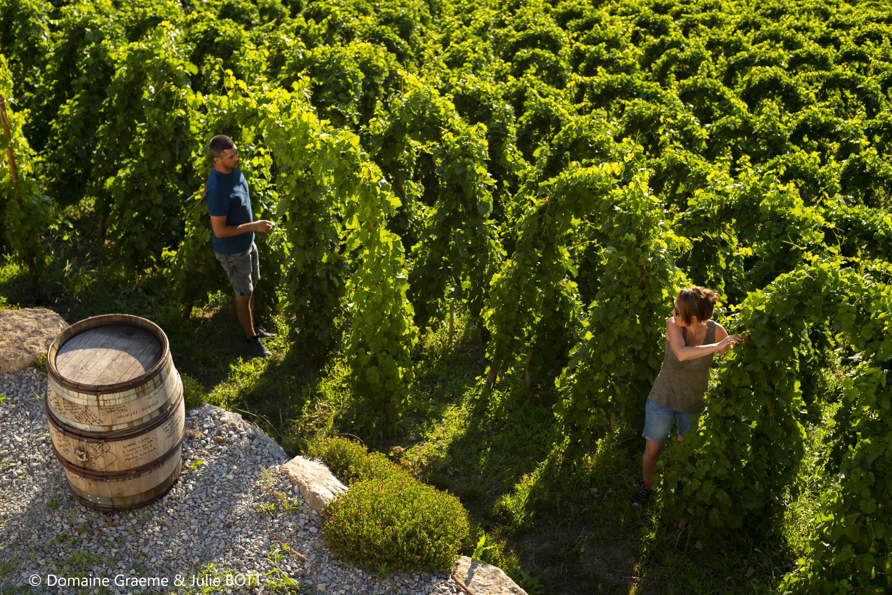 Le Domaine Graeme & Julie Bott